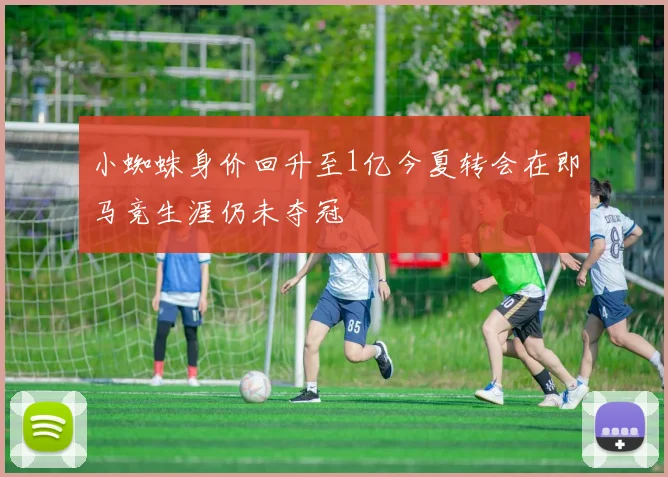 小蜘蛛身价回升至1亿今夏转会在即马竞生涯仍未夺冠
